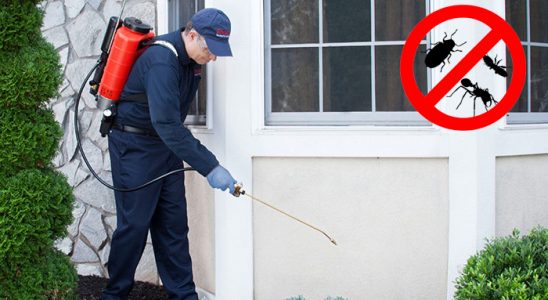 Kemaliye Akrep İlaçlama böcek ilaçlama ve haşere kontrolü — ilaclama-tr.com